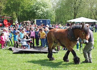 Rückepferd mit Kindern