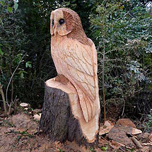 Baumskulptur - Chainsaw Carving