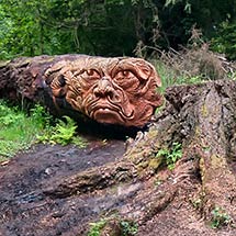 Baum-Skulpturen Tommy Craggs