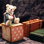 Mini Bär - Seebär mit Koffer