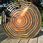 Holzskulptur Baumscheibe mit Jahresringen