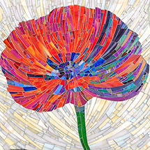 Freshwater Mosaics