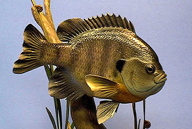Fish Carving - Gig Goldstein