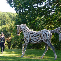 Treibholzskulpturen Pferde - Heather Jansch