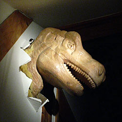 Saurier T-Rex aus der Wand