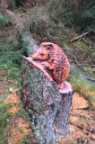 Holzskulptur Zauberer - Craggs