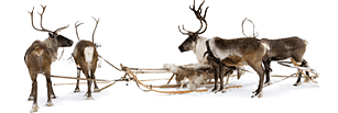 Warten auf den Weihnachtsmann